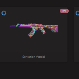 📌Glitchpop Phantom✅Silvanus Phantom📌Sensation Vandal✅Coalition: Cobra Judge📌Hue Shift Shorty💚5 SKINS💚2 AGENTS💚NA/CAN💚108 VP💚30 RP💚Unranked💚FA 0